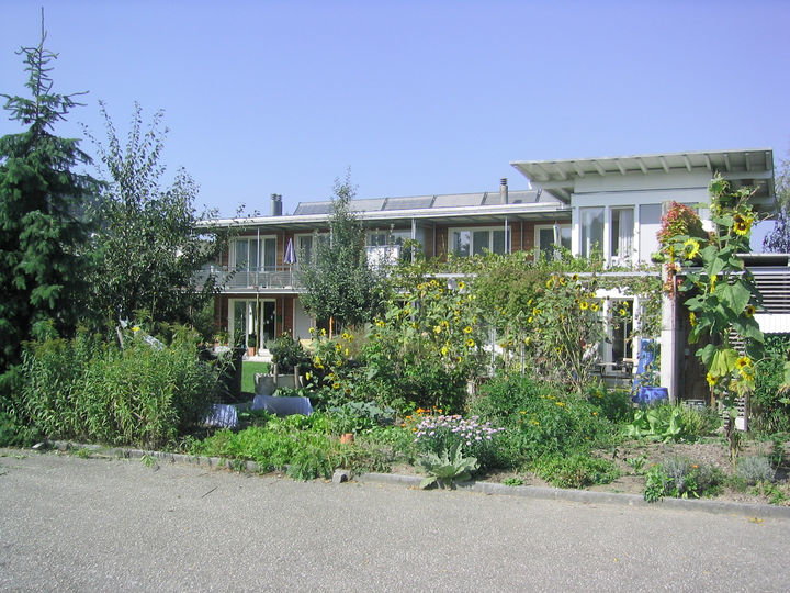 Dreifamilienhaus Brittnau